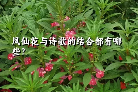 凤仙花与诗歌的结合都有哪些？