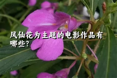 凤仙花为主题的电影作品有哪些？