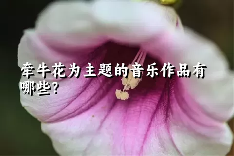 牵牛花为主题的音乐作品有哪些？