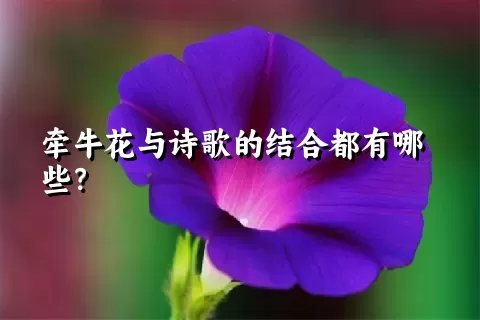 牵牛花与诗歌的结合都有哪些？