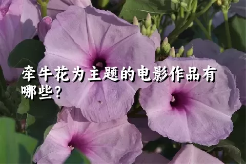 牵牛花为主题的电影作品有哪些？