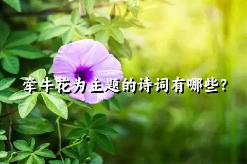 牵牛花为主题的诗词有哪些？