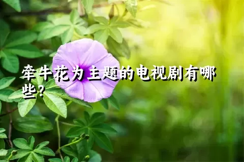 牵牛花为主题的电视剧有哪些？