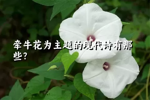 牵牛花为主题的现代诗有那些？