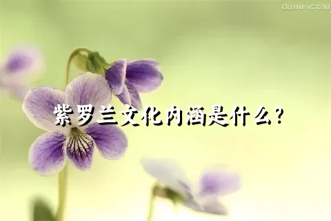 紫罗兰文化内涵是什么？