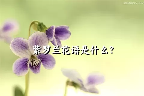 紫罗兰花语是什么？