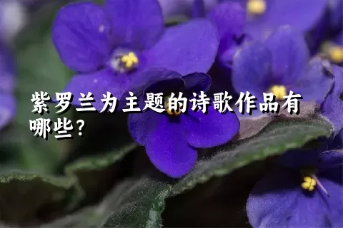 紫罗兰为主题的诗歌作品有哪些？