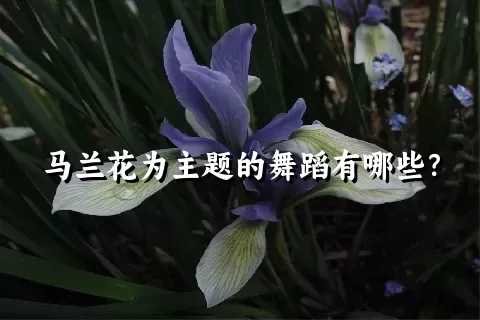 马兰花为主题的舞蹈有哪些？