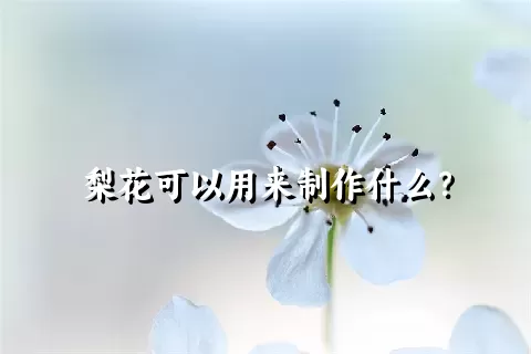 梨花可以用来制作什么？