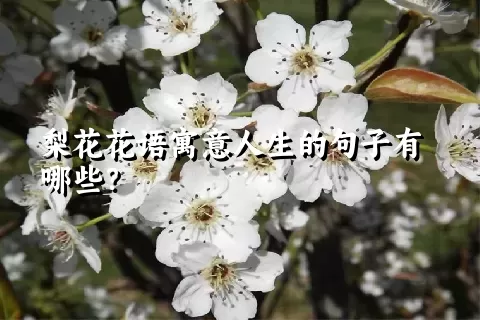 梨花花语寓意人生的句子有哪些？