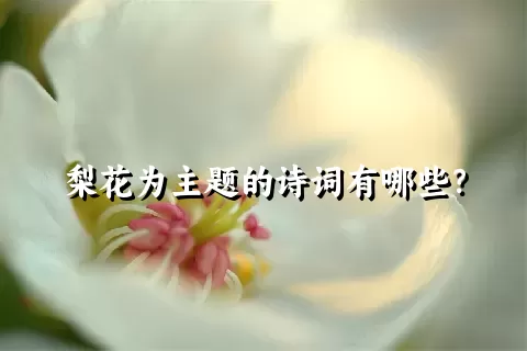 梨花为主题的诗词有哪些？