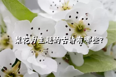 梨花为主题的古诗有哪些？