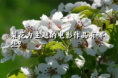 梨花为主题的电影作品有哪些？