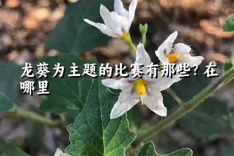 龙葵为主题的比赛有那些？在哪里