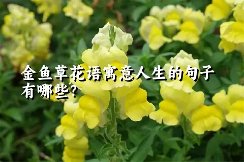 金鱼草花语寓意人生的句子有哪些？