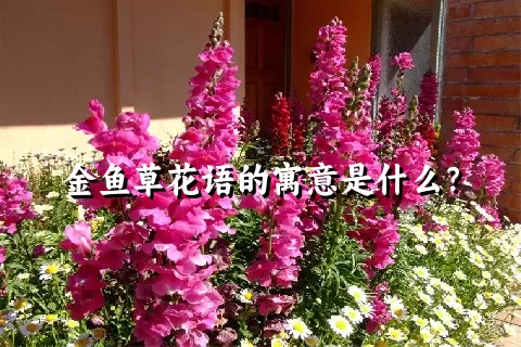 金鱼草花语的寓意是什么？