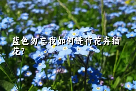 蓝色勿忘我如何进行花卉插花？