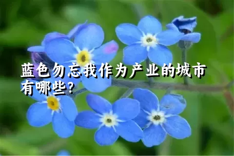 蓝色勿忘我作为产业的城市有哪些？