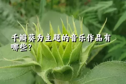 千瓣葵为主题的音乐作品有哪些？