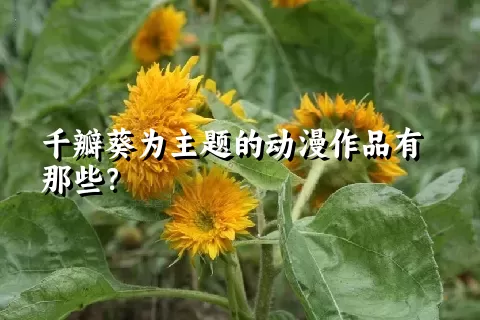 千瓣葵为主题的动漫作品有那些？