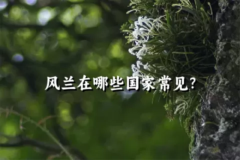 风兰在哪些国家常见？