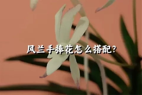 风兰手捧花怎么搭配？