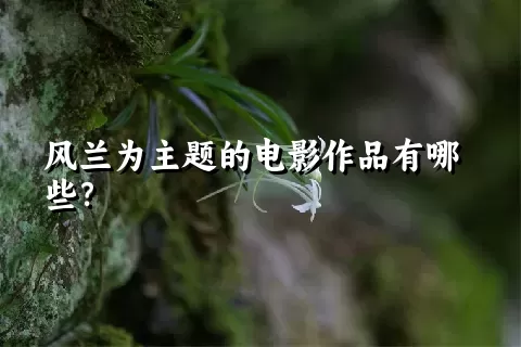 风兰为主题的电影作品有哪些？