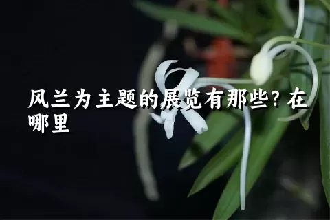 风兰为主题的展览有那些？在哪里