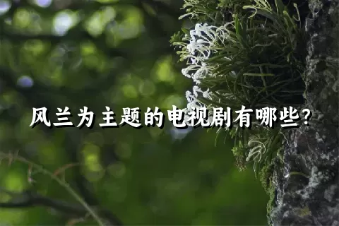 风兰为主题的电视剧有哪些？