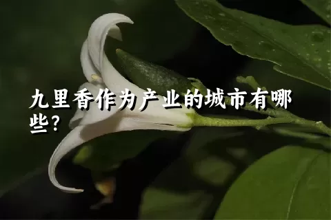 九里香作为产业的城市有哪些？