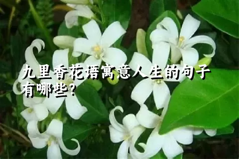 九里香花语寓意人生的句子有哪些？