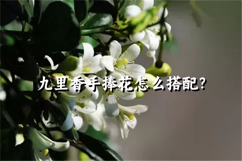 九里香手捧花怎么搭配？