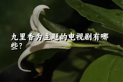 九里香为主题的电视剧有哪些？