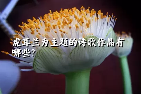 虎耳兰为主题的诗歌作品有哪些？