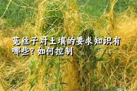 菟丝子对土壤的要求知识有哪些？如何控制