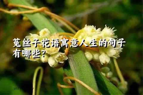 菟丝子花语寓意人生的句子有哪些？