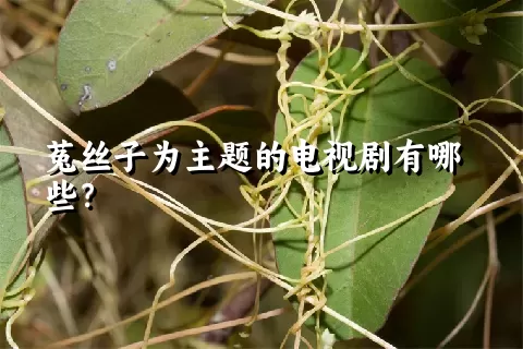 菟丝子为主题的电视剧有哪些？