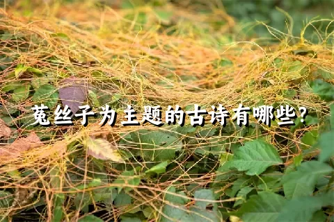 菟丝子为主题的古诗有哪些？