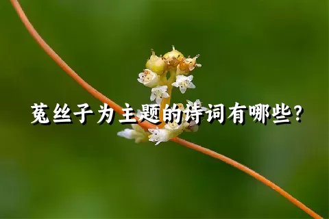 菟丝子为主题的诗词有哪些？