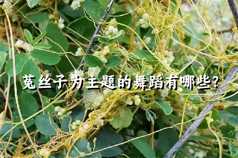 菟丝子为主题的舞蹈有哪些？