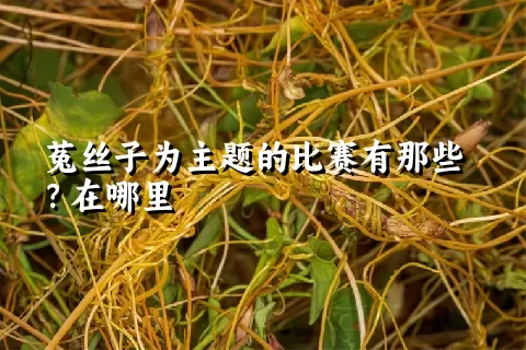 菟丝子为主题的比赛有那些？在哪里