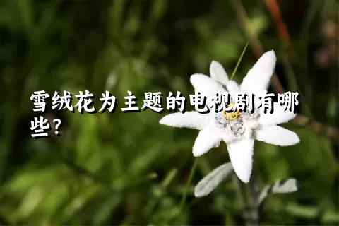 雪绒花为主题的电视剧有哪些？