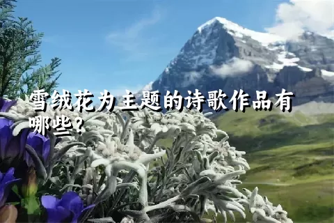 雪绒花为主题的诗歌作品有哪些？