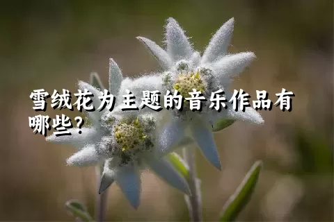 雪绒花为主题的音乐作品有哪些？