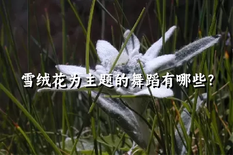 雪绒花为主题的舞蹈有哪些？