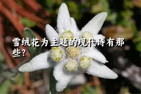 雪绒花为主题的现代诗有那些？