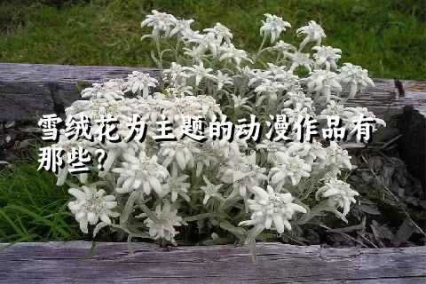 雪绒花为主题的动漫作品有那些？