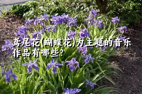 鸢尾花(蝴蝶花)为主题的音乐作品有哪些？