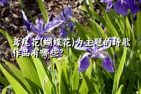 鸢尾花(蝴蝶花)为主题的诗歌作品有哪些？