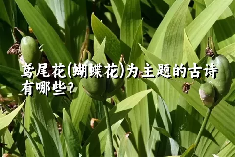 鸢尾花(蝴蝶花)为主题的古诗有哪些？